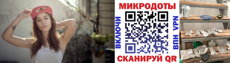 Псилоцибиновые грибы Psilocybine cubensis  Орск 